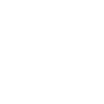 Stephen Abu Jr. Logo
